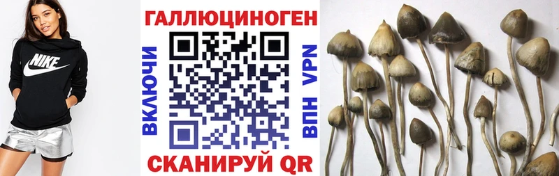Галлюциногенные грибы прущие грибы  Заречный 